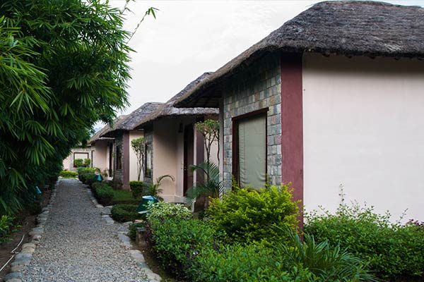 Corbett Machaan Resort