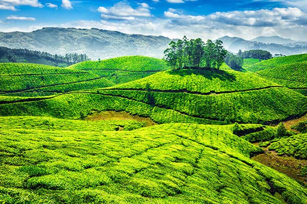 Munnar