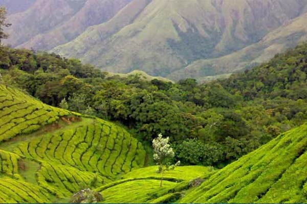 kausani